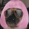 Antifa HR Director 的头像