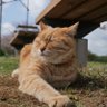 人生☆いろいろ profil fotoğrafı