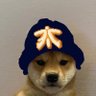 Profilbild von phlossy