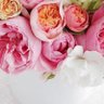 🌼🌸🌺CSW🌺🌸🌼 profil fotoğrafı
