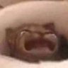 Chacha's profile picture