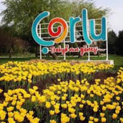 Yavuz asan's profile picture