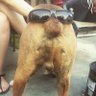 Eric Lano's profile picture