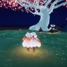 かすてら profil fotoğrafı