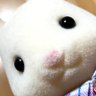Profilbild von 趣味アカ