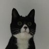 mon's profile picture