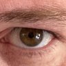 mon oeil's profile picture