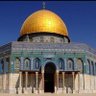 Mohamed🇵🇸 🔻محمد 的头像