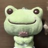 Remi🐸🍀 的头像