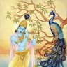 Фото профиля Sumit