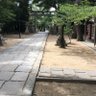 泉 profil fotoğrafı