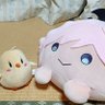 Фото профиля へかとんけいる🦀