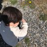 🌻himarin🌻 profil fotoğrafı