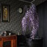 Фото профиля 紫檬