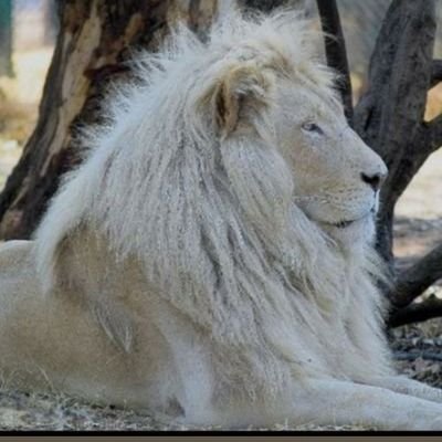 David Bravo's profile picture