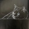 くろにゃんこ🐈⬛👁🗨️ 的头像