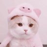 Profilbild von 久伴久相随