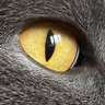 ufuk's profile picture