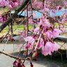 Фото профиля てこ@🍒家