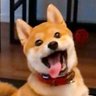 柴犬ひるね 的头像