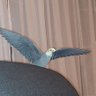 Mariusz profil fotoğrafı