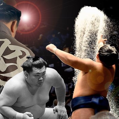 syoukiterutsuyo's profile picture