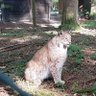 Marder profil fotoğrafı