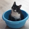 Февралий Суровый's profile picture