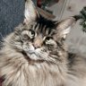 Michalina Odys's profile picture