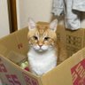Фото профиля たなか