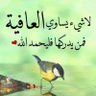 Adelmokhtar's profile picture