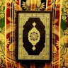 🤲🌙أم شيماء🌙🤲's profile picture