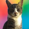 Profilbild von Gatinho Fiadaputa