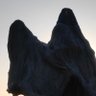 Фото профиля שםפרטי