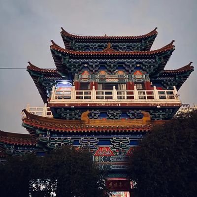 澎湃先生's profile picture