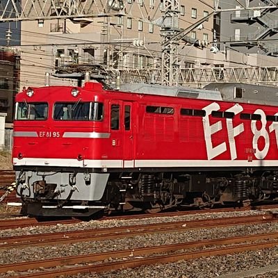 EF8195's profile picture