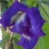 SITANATH MARDANYA's profile picture