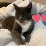mimi's profile picture
