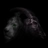 DagDigi's profile picture