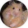 Iván profil fotoğrafı