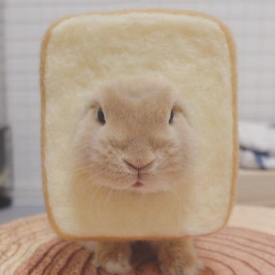 ʏෆᴜᴘᵂᴴ ▸'s profile picture