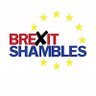 Brexitshambles profil fotoğrafı