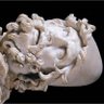 Relic Phillips profil fotoğrafı