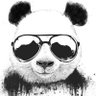 Profilbild von JamDes