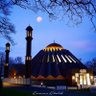 Profilbild von Sultan A Choudhry