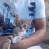 Profilbild von Ümit Vâr ...