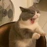 Frankk's profile picture