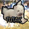 tutak 的头像