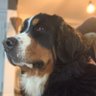 Profilbild von BARTHE