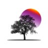 Suki Editions's profile picture